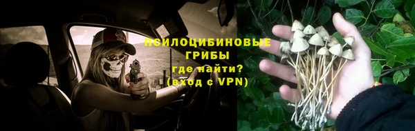 герыч Пестово