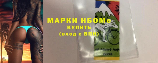 ПСИЛОЦИБИНОВЫЕ ГРИБЫ Осинники