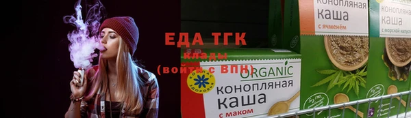 СК Дубна