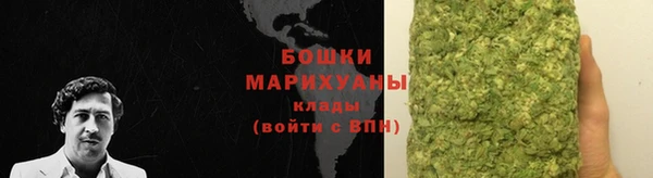 apvp Осташков