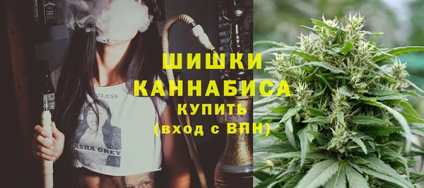 apvp Осташков