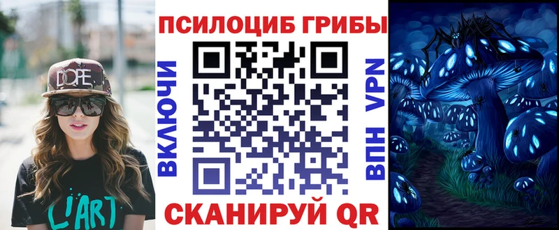 Псилоцибиновые грибы мухоморы  Кингисепп 