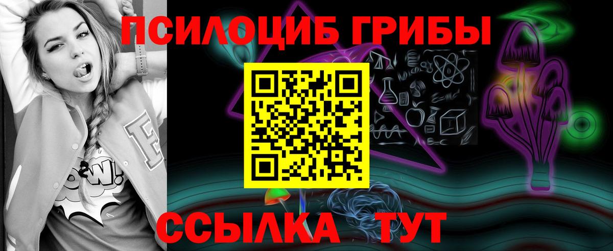 Кингисепп  Галлюциногенные грибы прущие грибы  Вход с VPN 