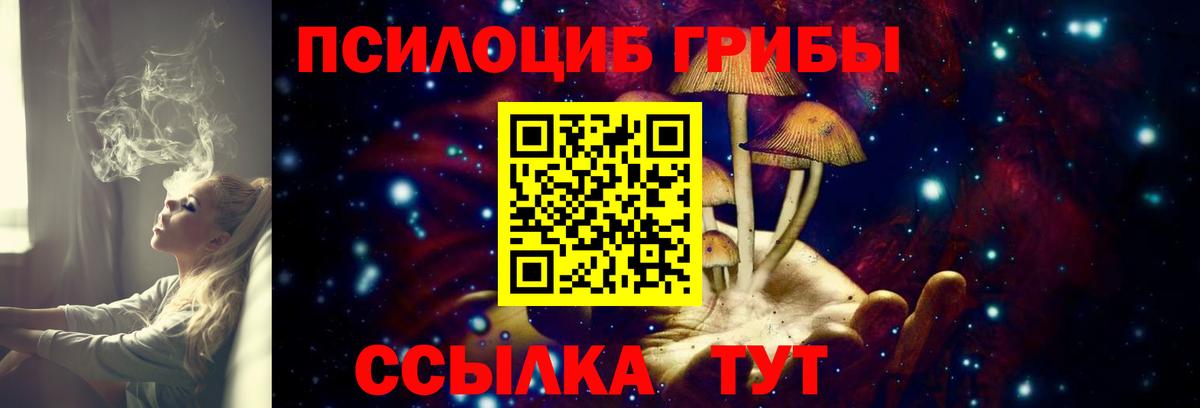 купить   Кингисепп  Галлюциногенные грибы Psilocybe  Галлюциногенные грибы мицелий 